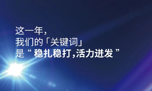 2023这一年，尊龙凯时人生就是博首页的关键词是“稳扎稳打，活力迸发”